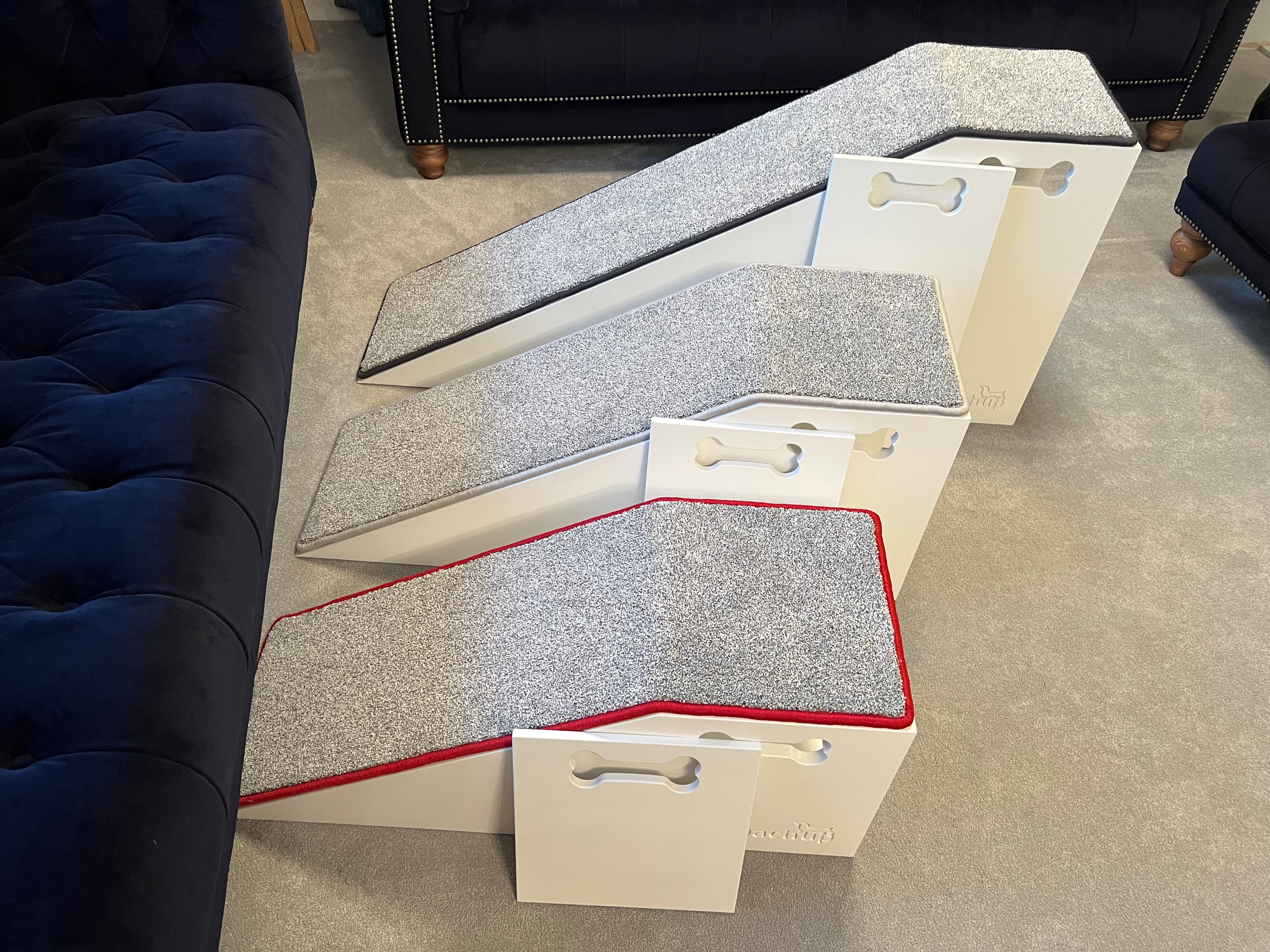 Dog ramp with clearance storage